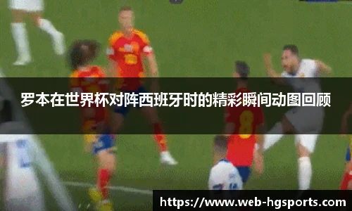 罗本在世界杯对阵西班牙时的精彩瞬间动图回顾